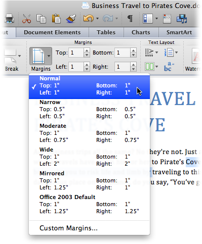 setting word for mac 2011 default font uper lower case